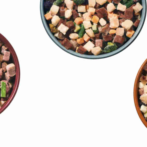 High Quality Raw Dog Food