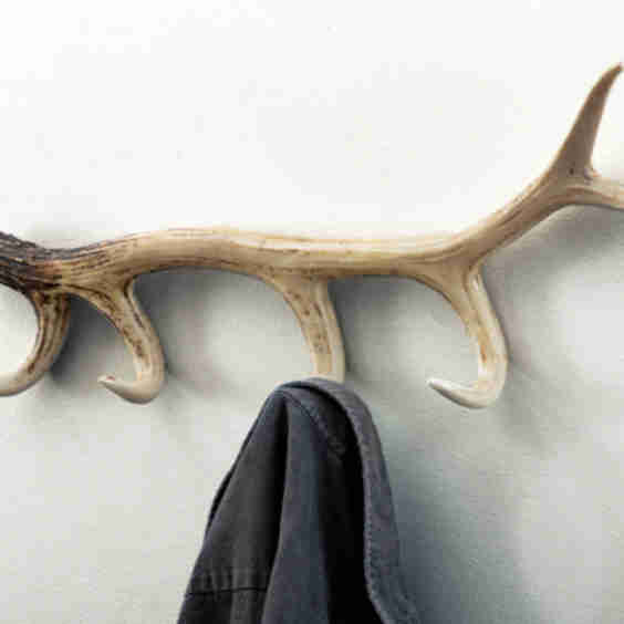 Antler Coat Rack