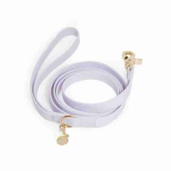 Waterproof Cloud Dog Leash