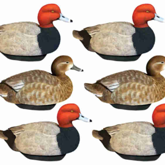 HyrdoFoam Redhead Duck Decoys 6 Pack