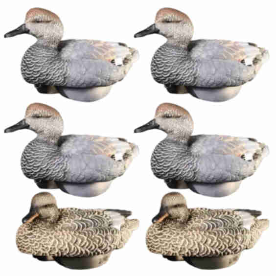 HydroFoam Gadwall Decoy 6 Pack