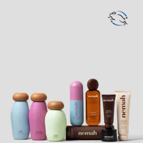 The Everything Set Family