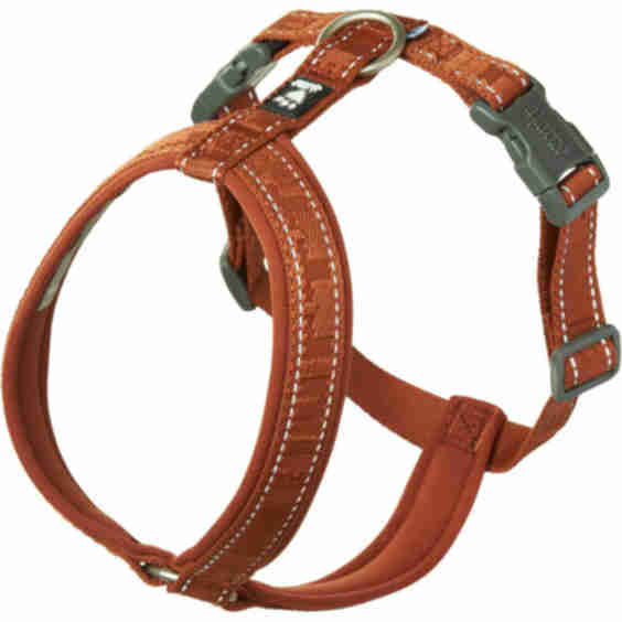 Casual Y-Harness ECO