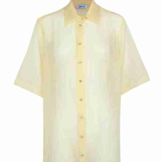 Swan Shirt