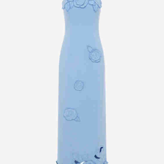 Appliqué Bustier Maxi Dress