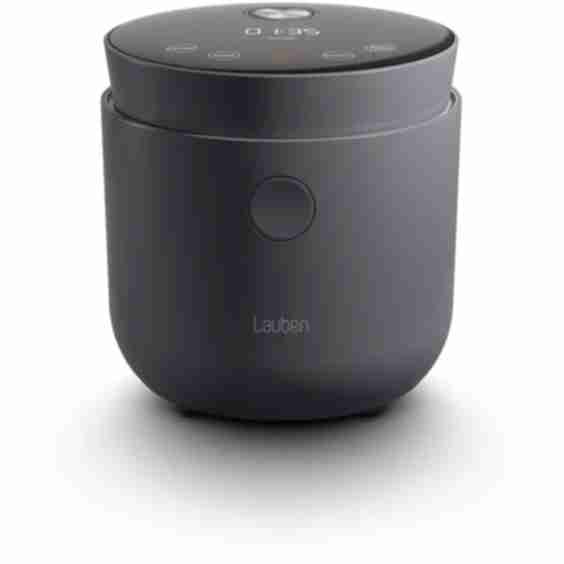 Low Sugar Rice Cooker