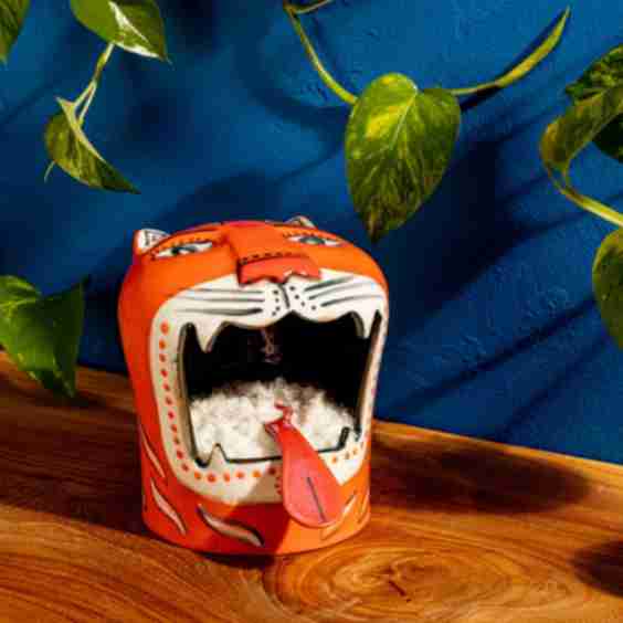 Salt Tiger Storage 