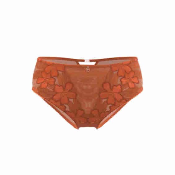 Cecily Floral Embroidery Lace Brief Panties