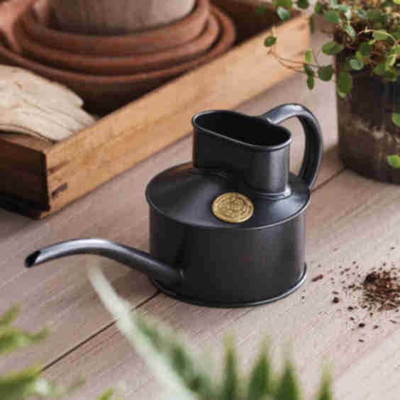 Fazeley Flow Watering Can, 0.5L
