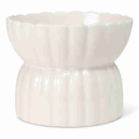 Scallop Raised Small Pet Bowl