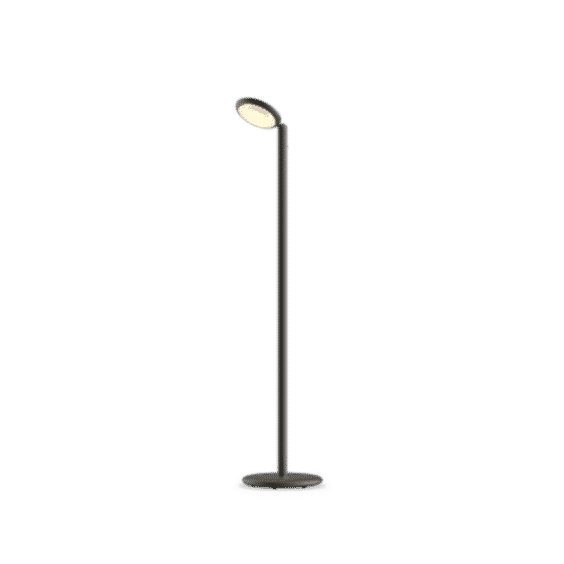 Parrot Floor Lamp