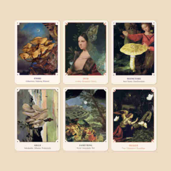 The Mushroom Oracle 44 Card Deck & Guidebook
