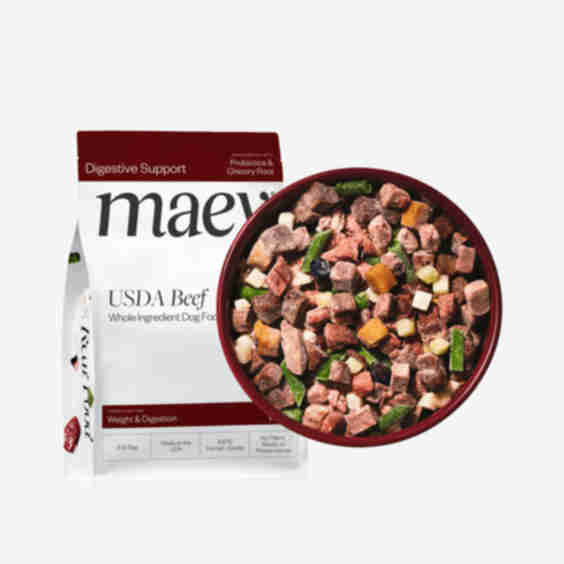 Whole Ingredient Dog Food with Beef