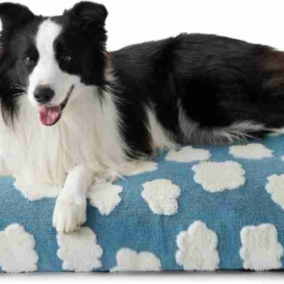 Waterproof Dog Bed