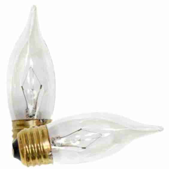 Incandescent Light Bulb (2 pack) 