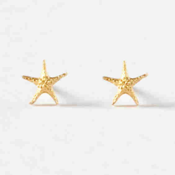 Starfish Earrings