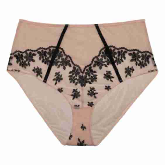 Evie Brief