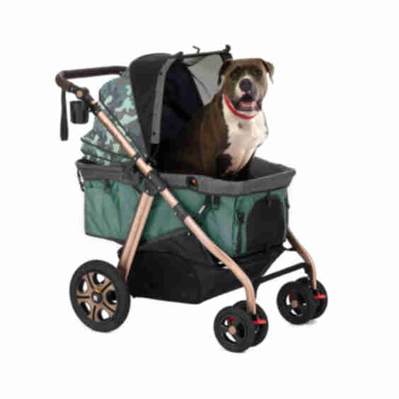 Titan Hd Premium Pet Super Size Stroller Suv