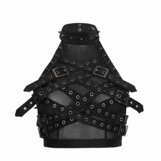 Vault Belted Mesh Crop Top 