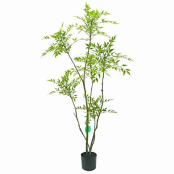 Faux Nandina Tree 71"H
