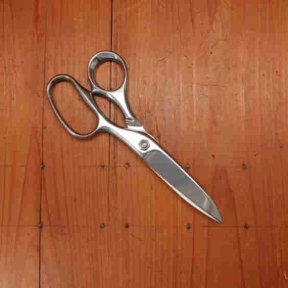 Professional Kitchen Shears