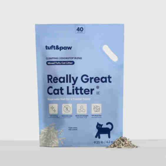 Really Great Cat Litter - OdorStop