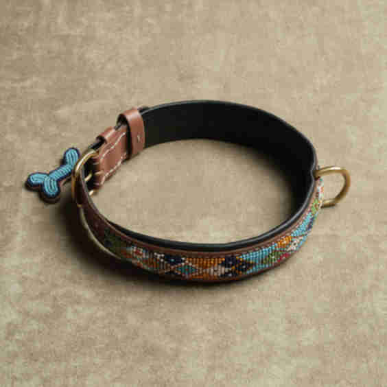 The Dog Collar