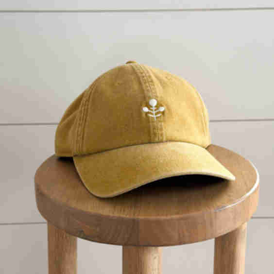Baseball Hat