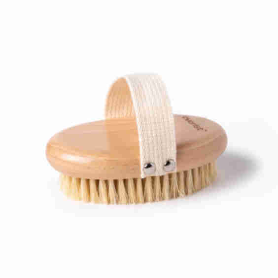 The Dry Brush