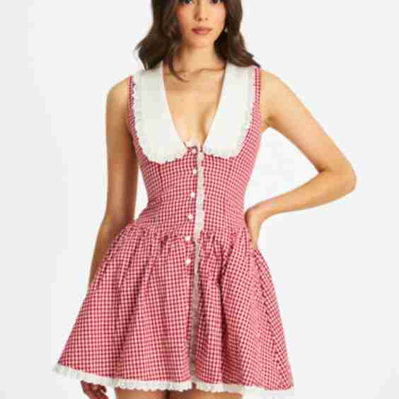 Gingham Eyelet Lace Trim Peterpan Collar Mini Dress