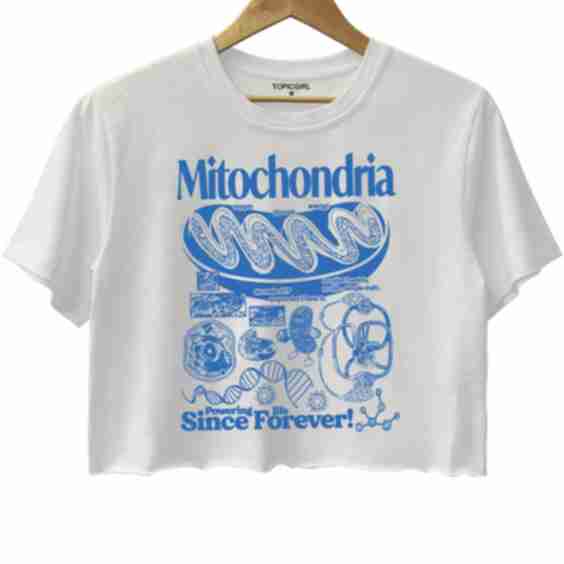 Cotton Crop Top
