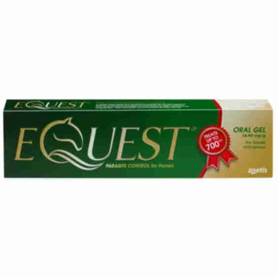 Equest Horse Wormer Single Syringe