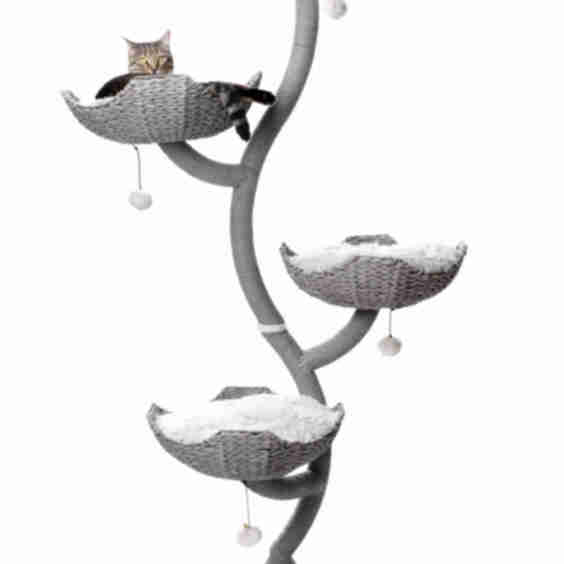 Ivy 4 Cat Tree