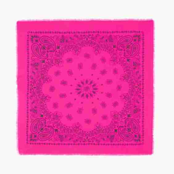 Hachiko Bandana
