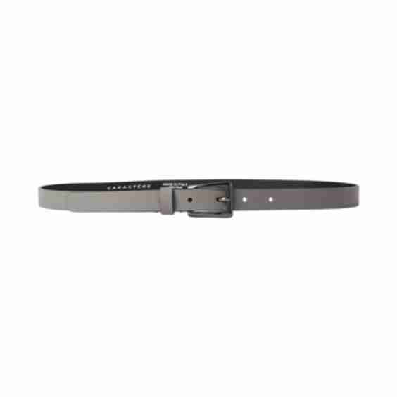 Thin Belt