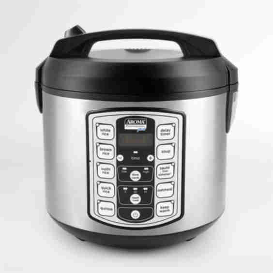 Professional 20-Cup Digital Rice & Grain Multicooker