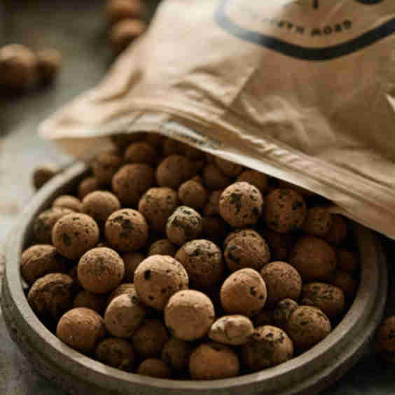 Leca Balls