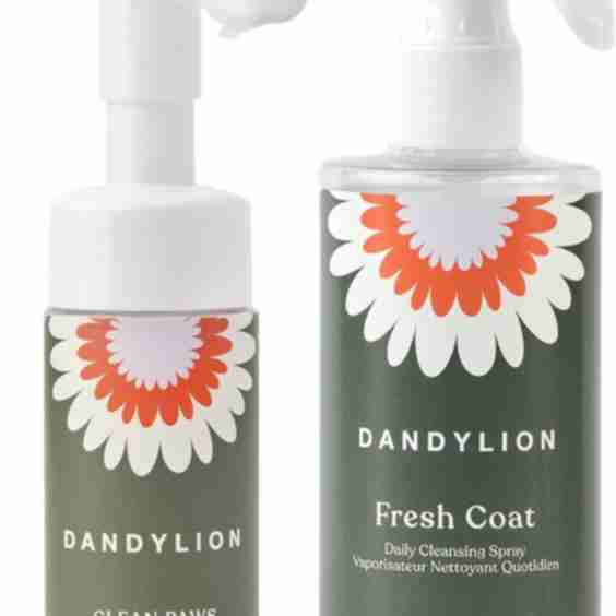 Dandylion Clean Paws Dog Foaming Cleanser, 5-oz Bottle + Fresh Coat Daily Cleansing Dog Spray, 8.4-fl oz Bottle Bundle