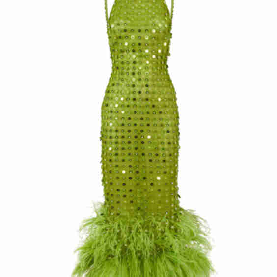 Handmade Embroidered Ankle Length Dress With Ostrich Feather Details