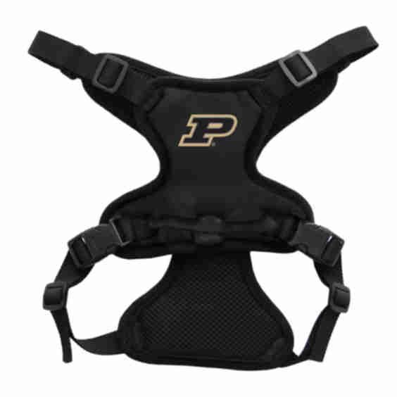 NCAA Front Clip Dog Harness, Purdue Boilermakers