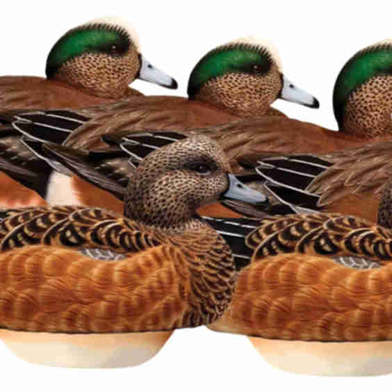 HydroFoam Wigeon Duck Decoys 6 Pack