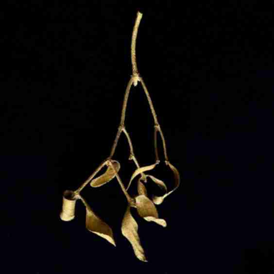 Cast Brass Mistletoe