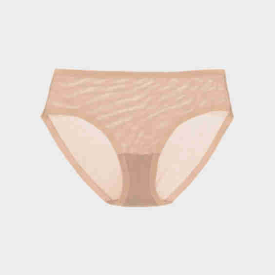 Sheer Brief