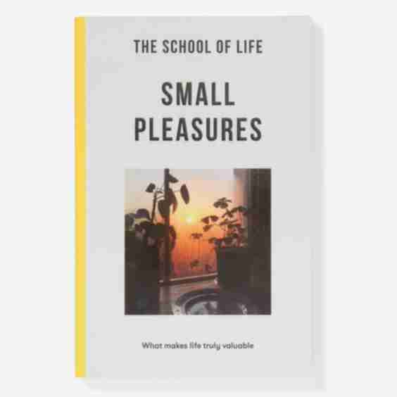 Small Pleasures Book