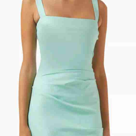Misha Leanna Mini Dress 