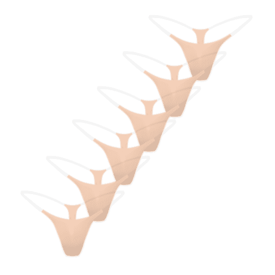 6 Pack Nude Invisible Underwear