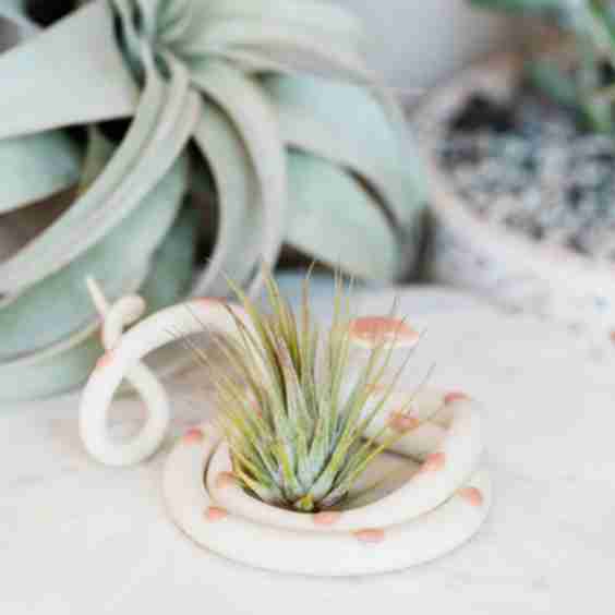 Medium Ceramic Snake