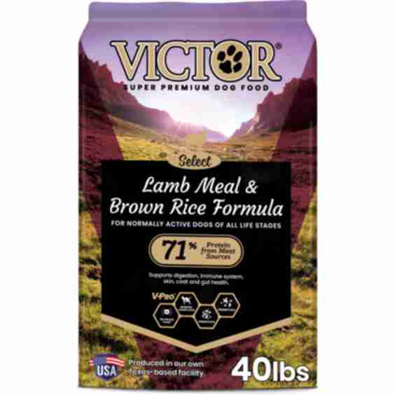 Gluten-Free Lamb Meal & Brown Rice Dry Dog Food, 80-lb Bundle