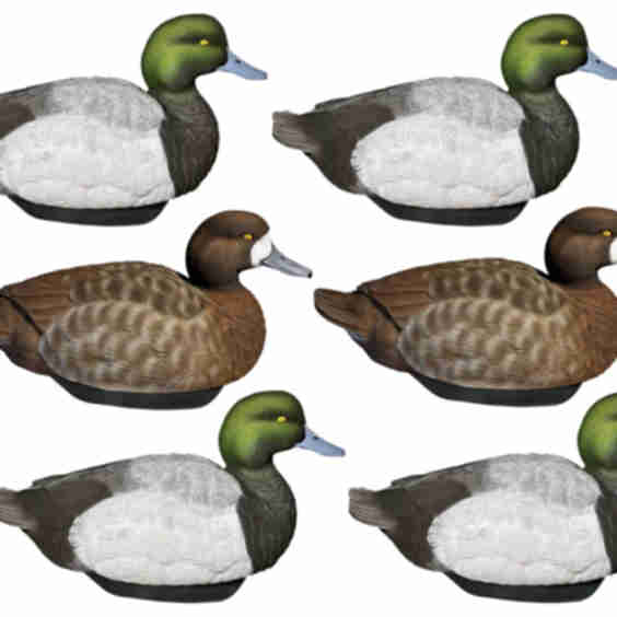 HydroFoam Bluebill Duck Decoys 6 Pack