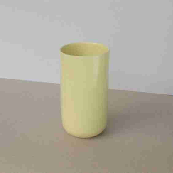 The Smoothie Cup